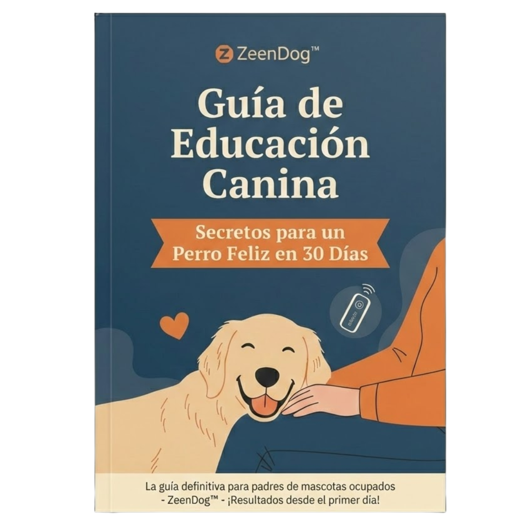 Guía Educativa